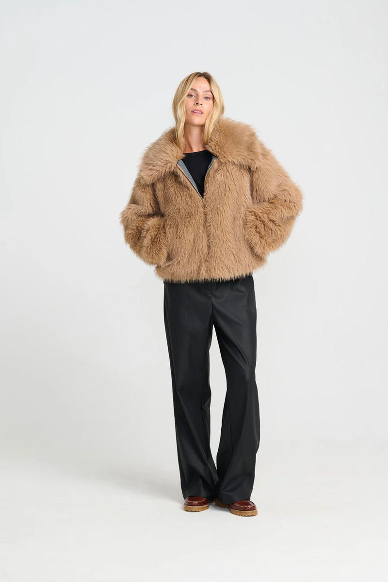 Costamani - Monroe Short Jacket Camel