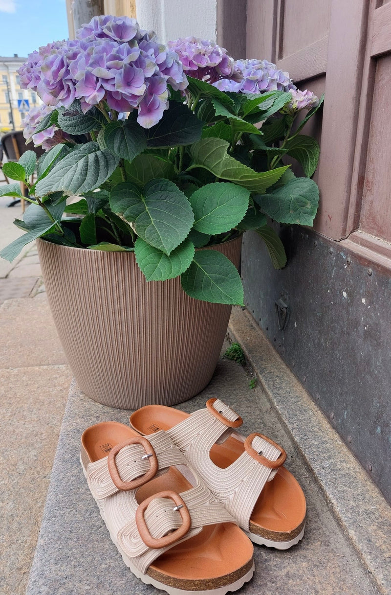 Verbenas - Ruth Sandal Cream